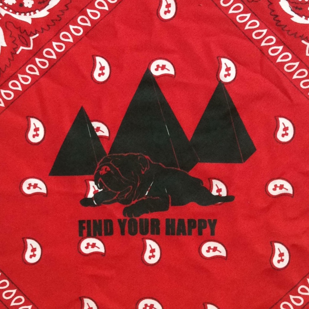 Hand Printed Recycled Bandana